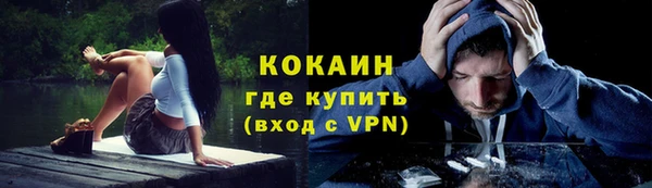 мяу мяу мука Кинешма