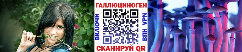 Псилоцибиновые грибы GOLDEN TEACHER  где можно купить   нарко площадка Telegram  Шатура 