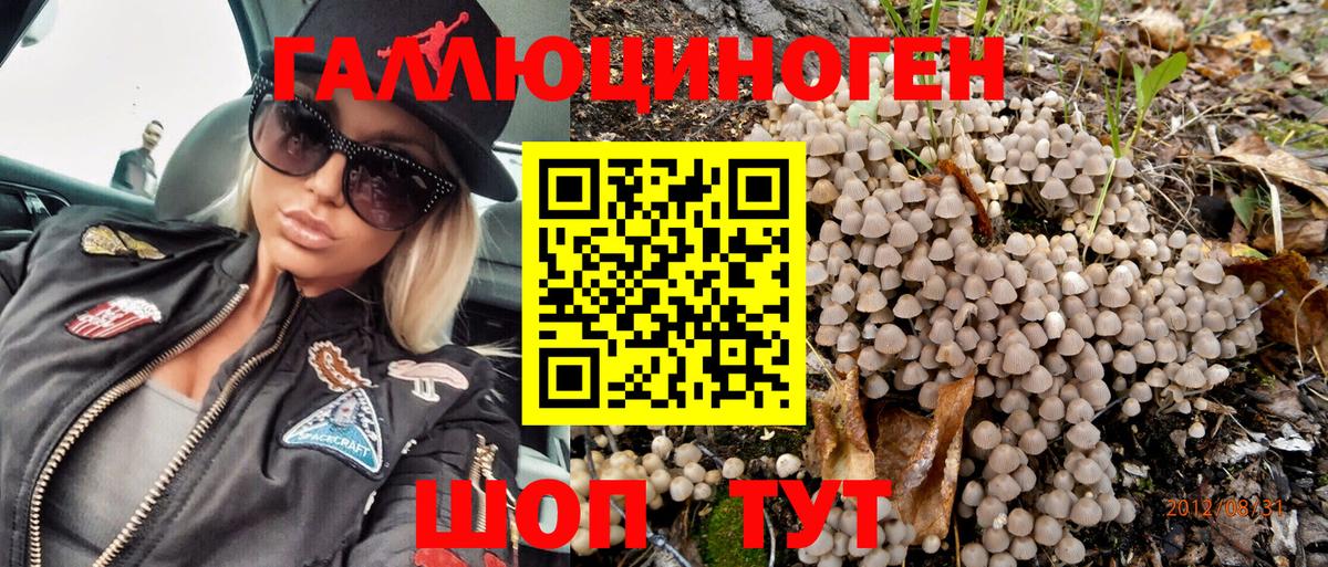 Псилоцибиновые грибы Psilocybe  Вход с VPN  хочу наркоту  Шатура 